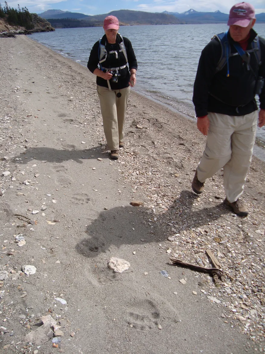 Hiking in near Yellowstone Lake 