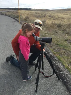 Viewing the wildife in Yellowstone 