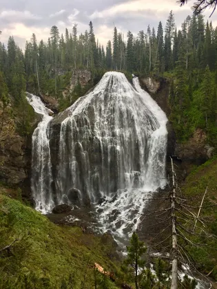 Union Falls in Yellowstone 