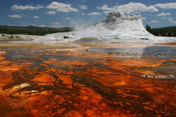 Castle Geyser in Yellowstone 