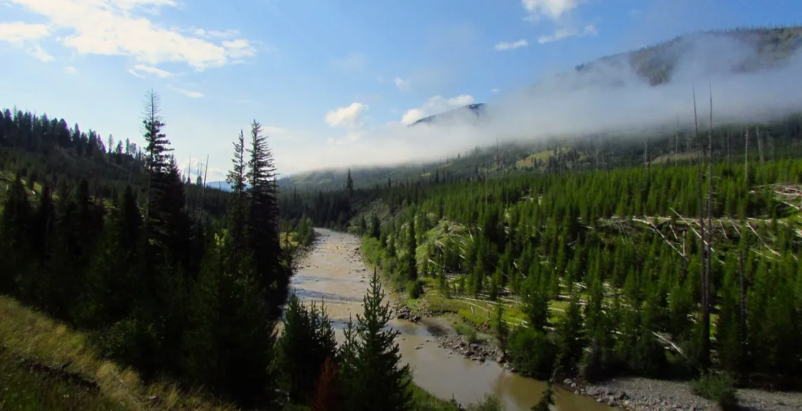 Lamar River Trail - Yellowstone Guidelines Lamer River, Backpacking, Yellowstone National Park