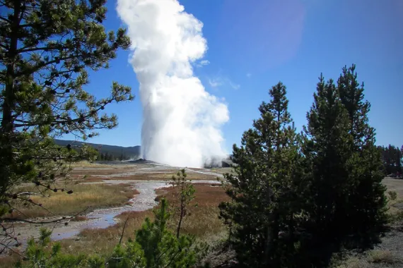 Old Faithful Geyser - Yellowstone  